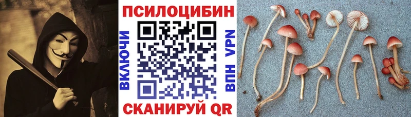 Псилоцибиновые грибы мицелий  Купить закладки  Среднеколымск 